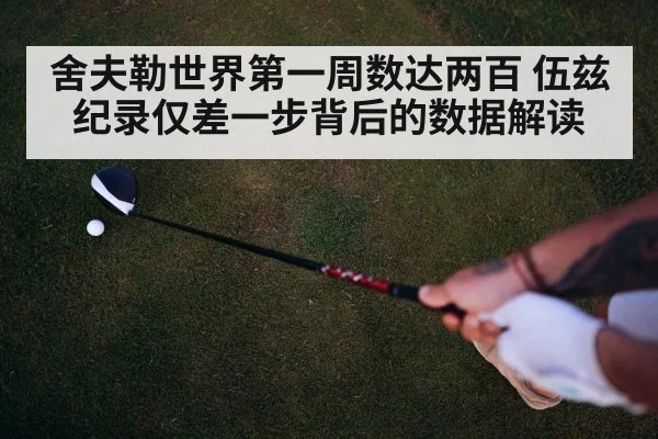 舍夫勒世界第一周数达两百 伍兹纪录仅差一步背后的数据解读
